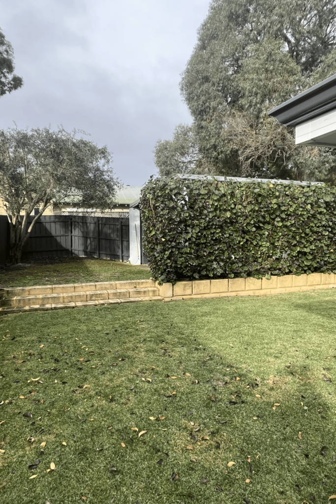 Hedge maintenance services Perth